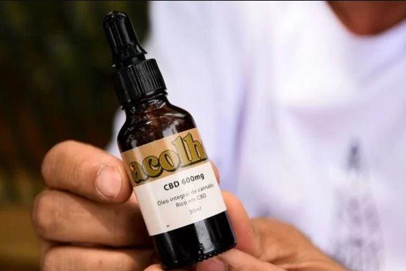 Como o canabidiol pode ajudar no emagrecimento, segundo a ciência