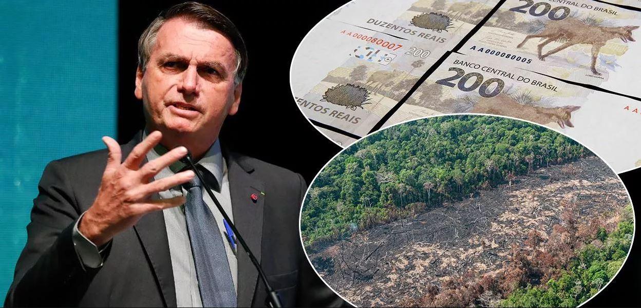 A 15 dias do fim do governo, Bolsonaro libera exploração de madeira em terras indígenas