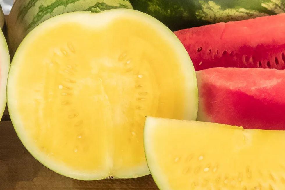 De onde vem o que eu como: g1 mostra melancia amarela e pergunta para a Magali real se ela é mesmo fã da fruta