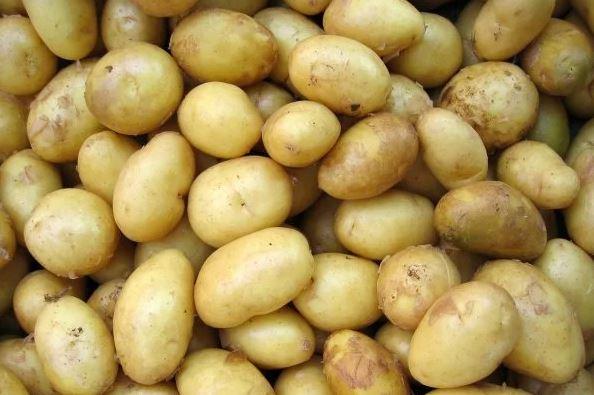 Substâncias presentes nas batatas podem prevenir o câncer, diz estudo