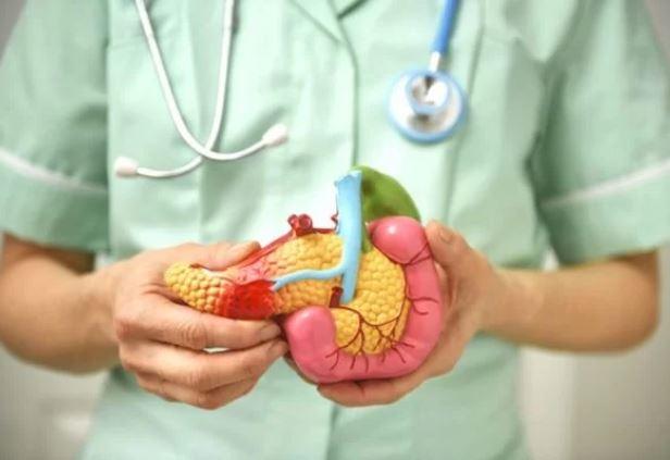 Alerta! Cinco sinais que podem indicar câncer de pâncreas
