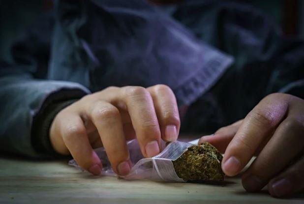 Maconha pode encolher testículos e prejudicar fertilidade, diz estudo