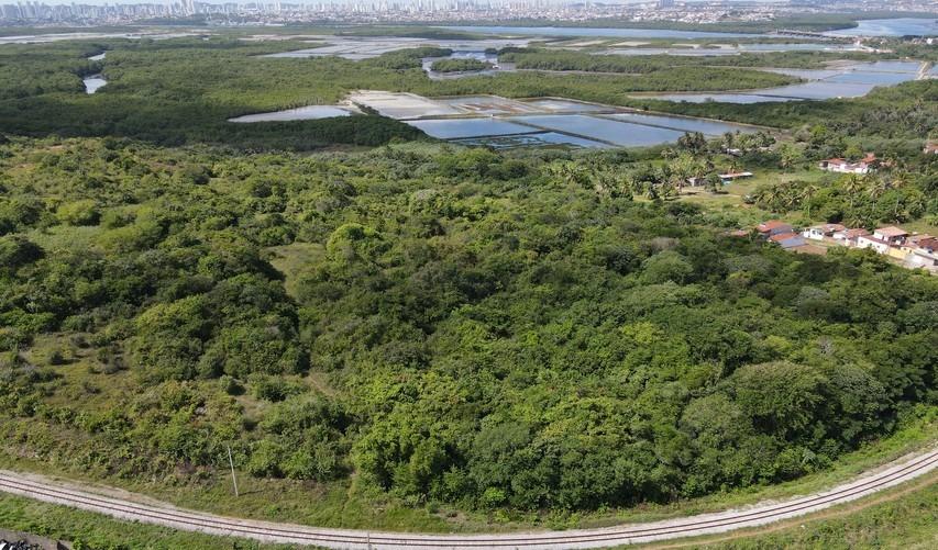 MPRN move ação para impedir construções no bioma Mata Atlântica em Natal