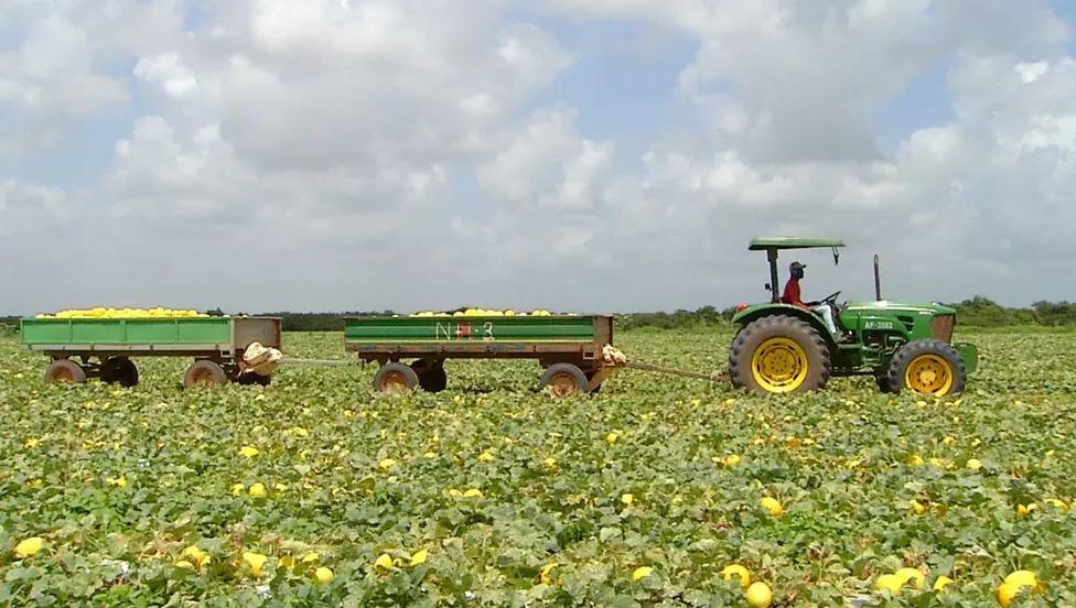 Demissões na agropecuária e indústria causam saldo negativo de empregos em março no RN