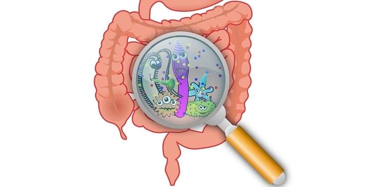 Microbiota intestinal pode ser um escudo contra doenças; saiba como mantê-la saudável