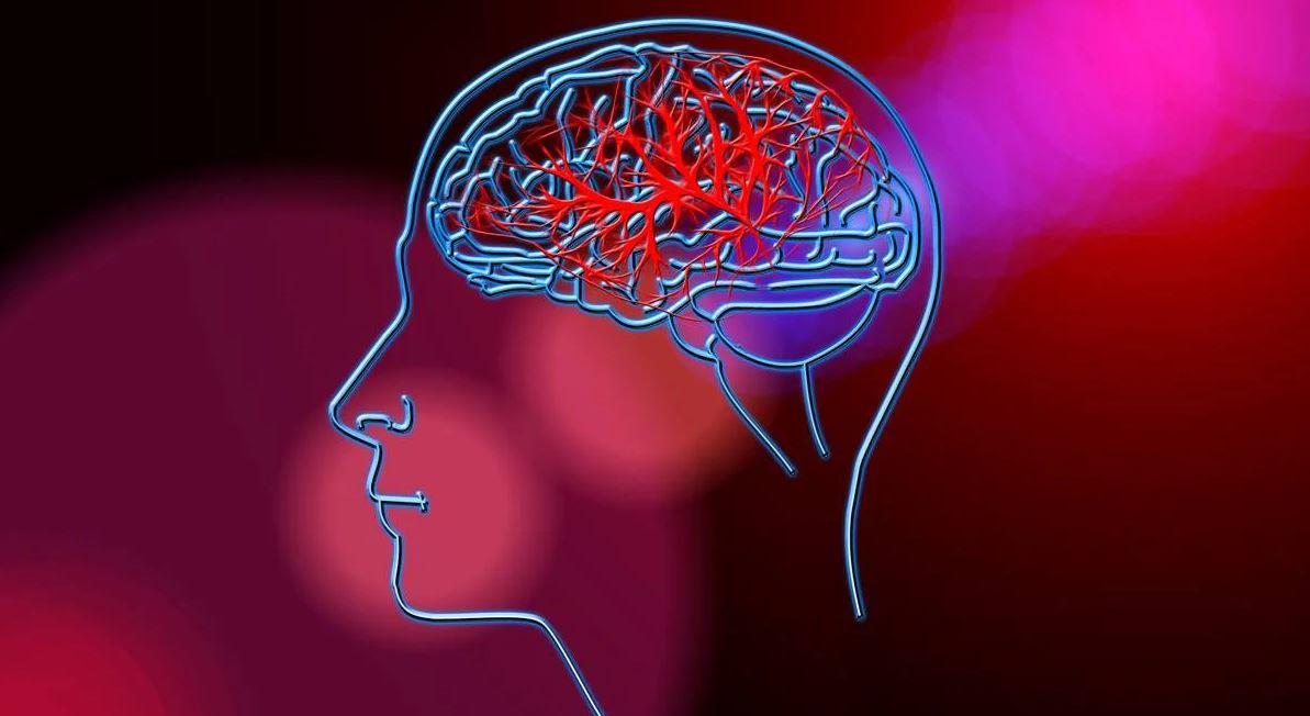 Mudar estilo de vida é a primeira forma de prevenir AVC, alerta médica