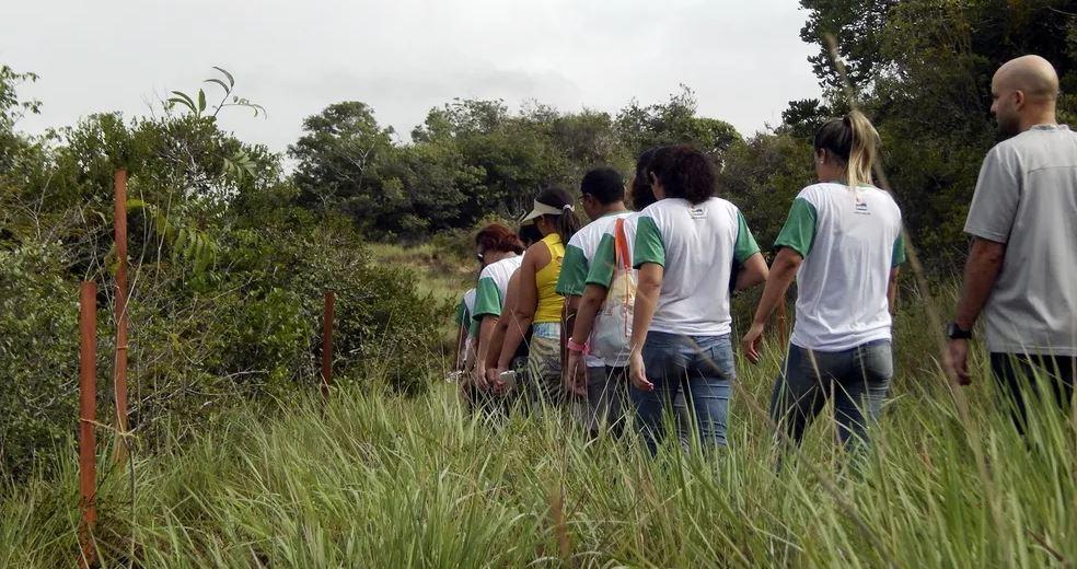 Semana do Meio Ambiente em Natal tem oficinas, limpeza de praias, plantio de árvores e mais; veja programação completa