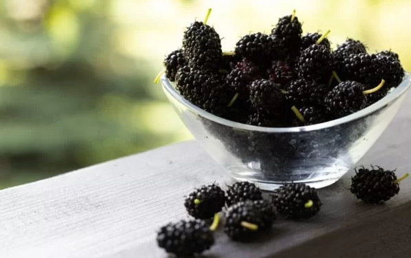 Conheça os 12 alimentos que mais alteram o cheiro e a cor da urina