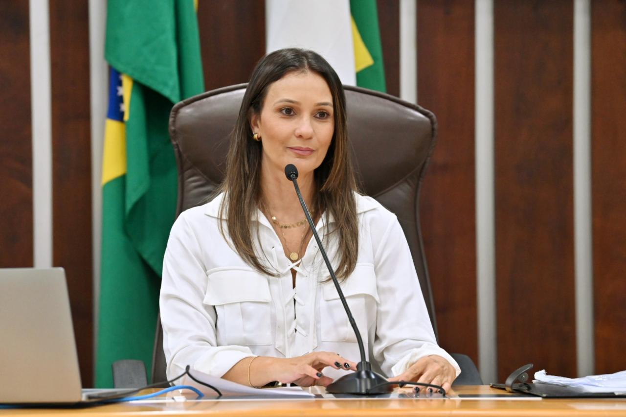 Humanização do luto parental vai ser debatida em audiência pública na ALRN