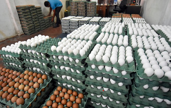 Ovo acumula alta de 22,93% em 12 meses, até junho deste ano