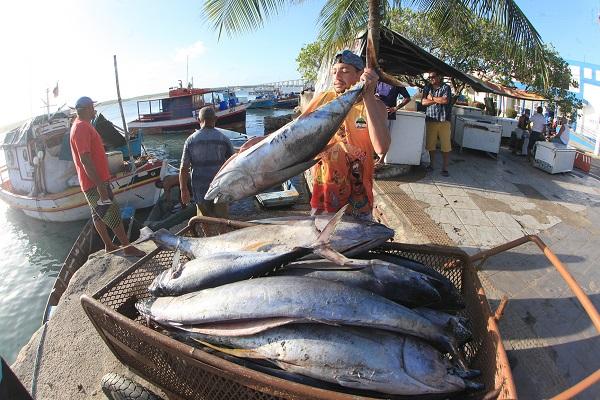 Fetape quer mapear a pesca artesanal do RN e fazer parcerias públicas e privadas para fortalecer setor