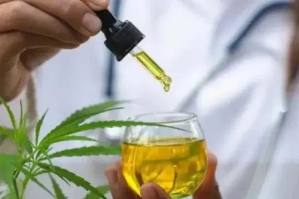 Autismo: extrato de cannabis adaptado melhora tratamento, diz estudo