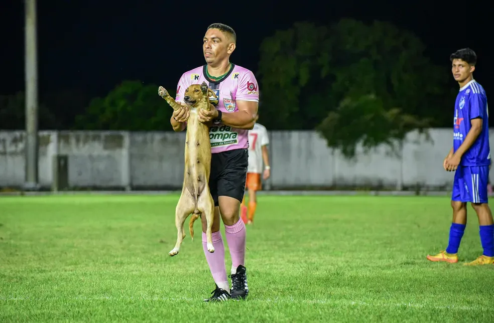 Cachorro caramelo invade gramado em Roraima, paralisa jogo e é retirado por árbitro;