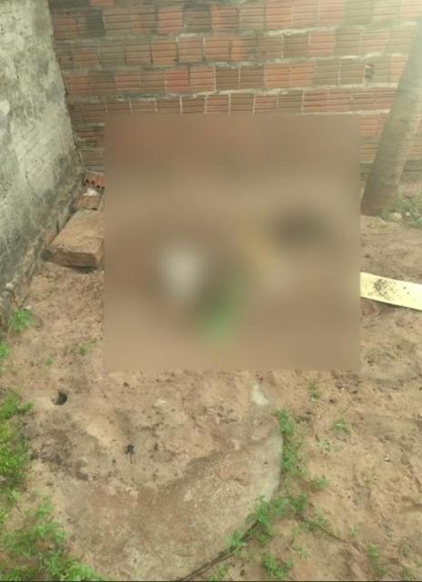 Corpo é encontrado enterrado em quintal de casa em Touros