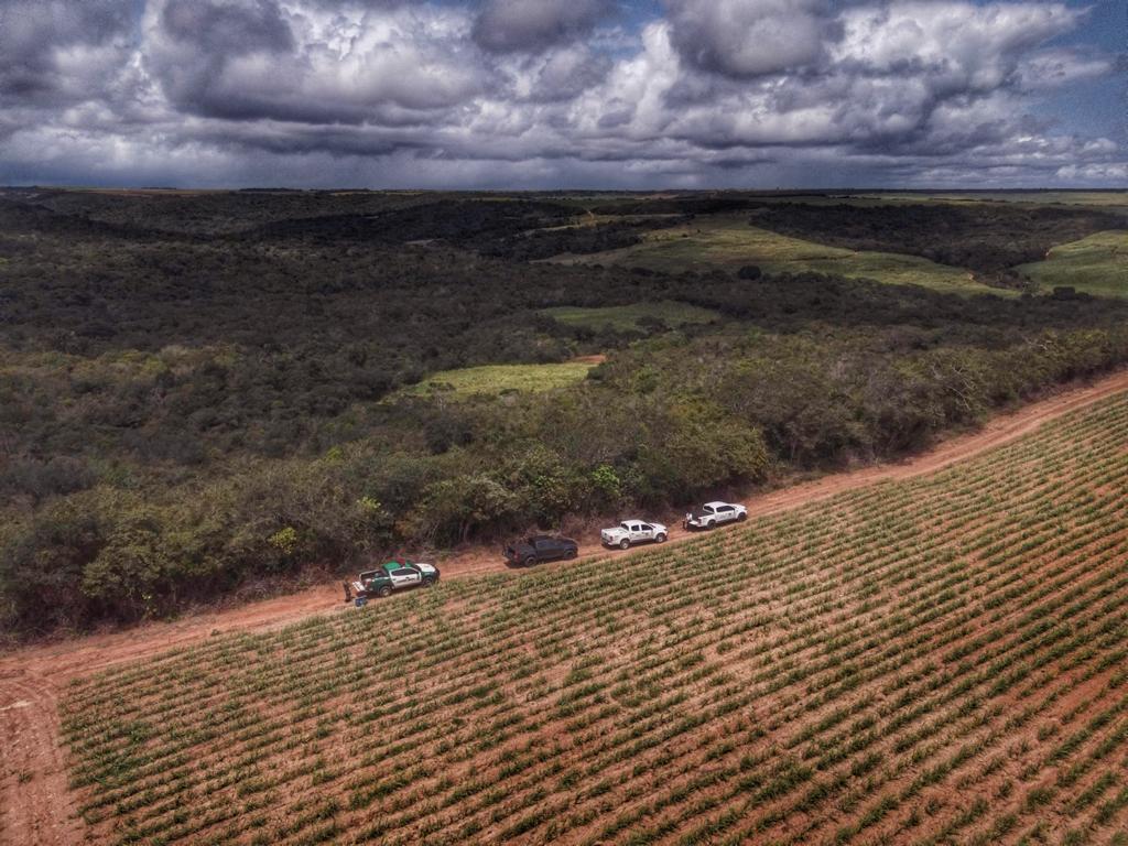Mata Atlântica em Pé: Operação no RN combate desmatamento ilegal e recupera áreas degradadas