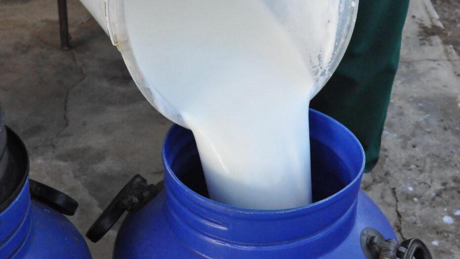 Programa do Leite no RN é suspenso em 22 cidades por irregularidade em fábrica