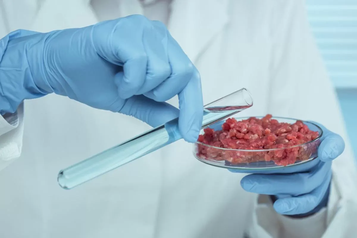 Carne de laboratório é feita com células cancerosas? Entenda polêmica
