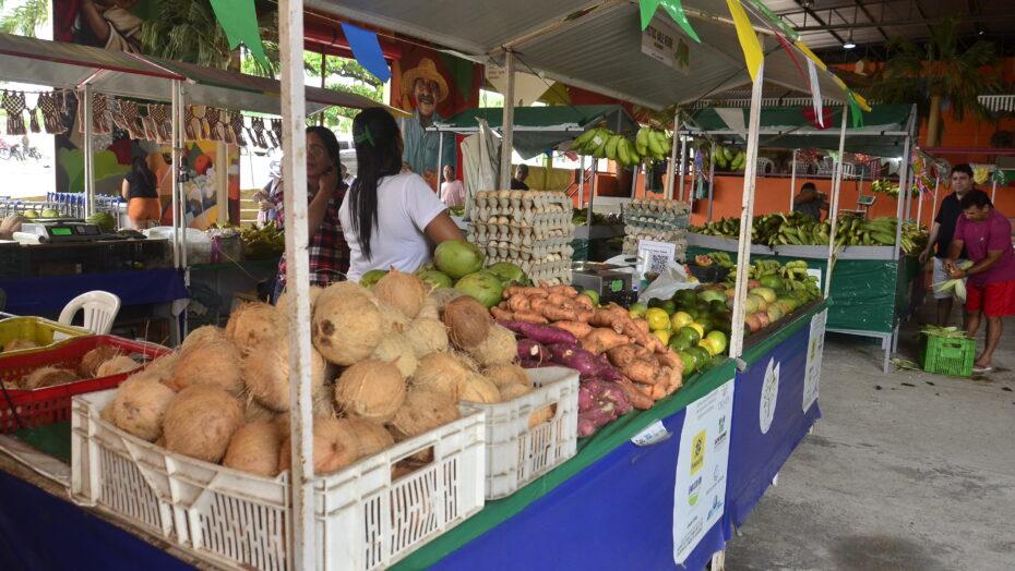 Agricultura familiar representa 80% dos estabelecimentos do RN