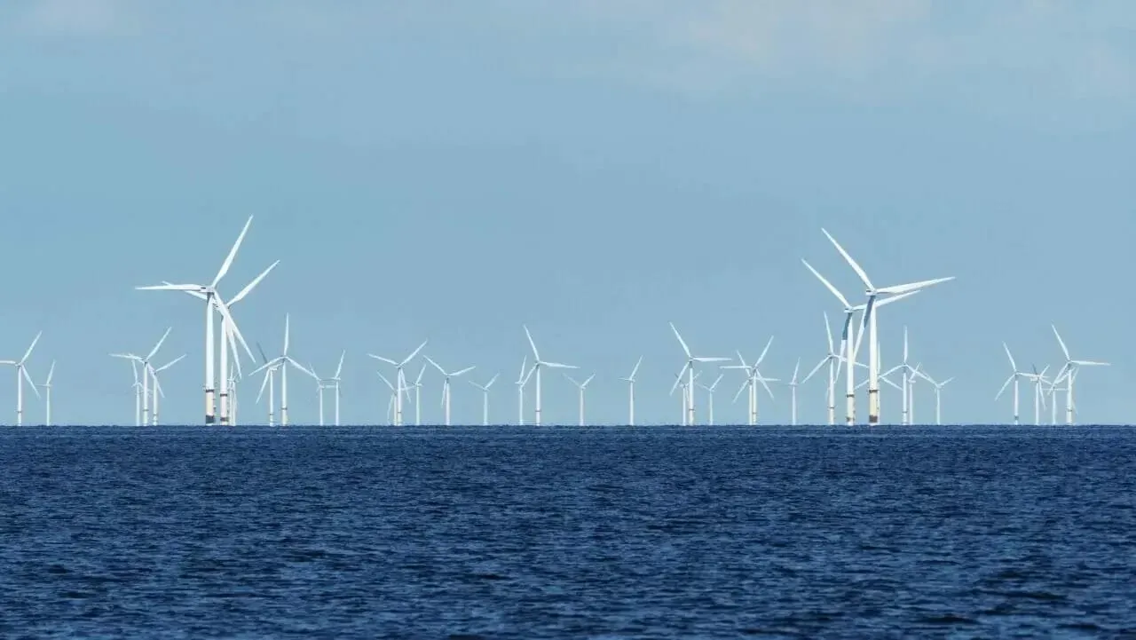 Europeus e japoneses de olho na energia eólica offshore do Brasil