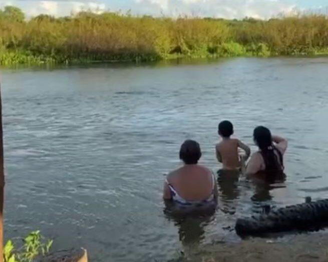 Ataques de piranhas: “Mais recorrentes nos períodos de verão”, explica especialista
