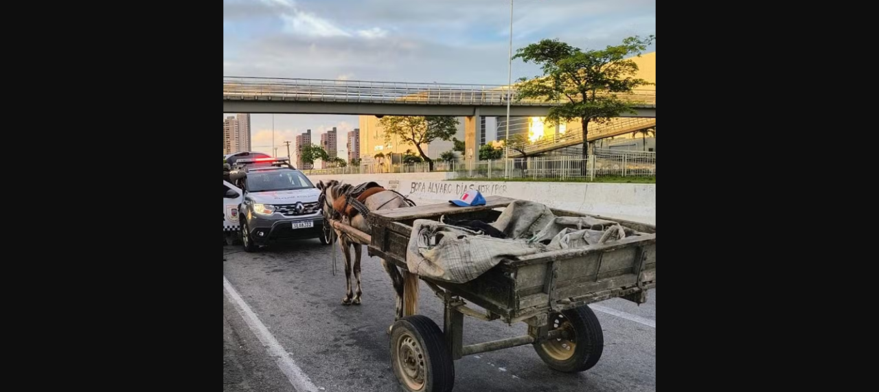 Carroceiro é preso com TV, bebidas e carnes furtadas de estabelecimento em Natal