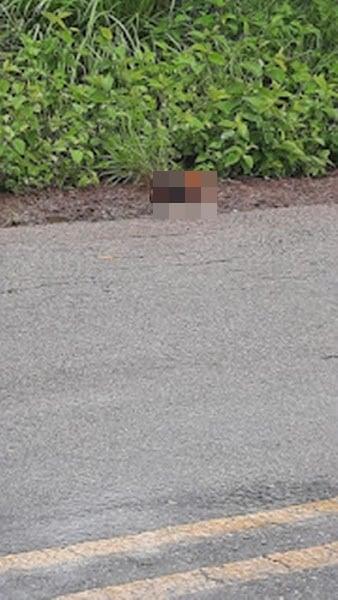 Polícia Civil encontra corpo de homem decapitado em João Câmara