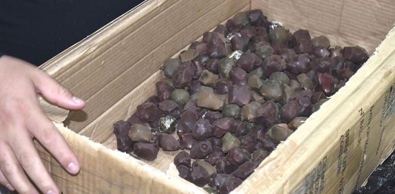 PF prende casal e apreende 5,66 kg de crack misturados com castanhas em Parnamirim