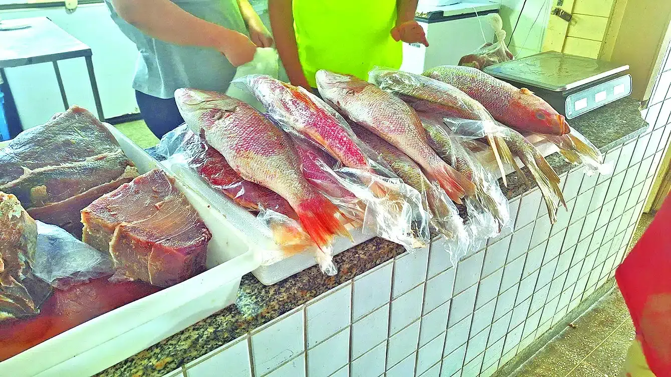 Na Semana Santa, vendas de peixes continuam baixas: “Ano passado foi melhor”