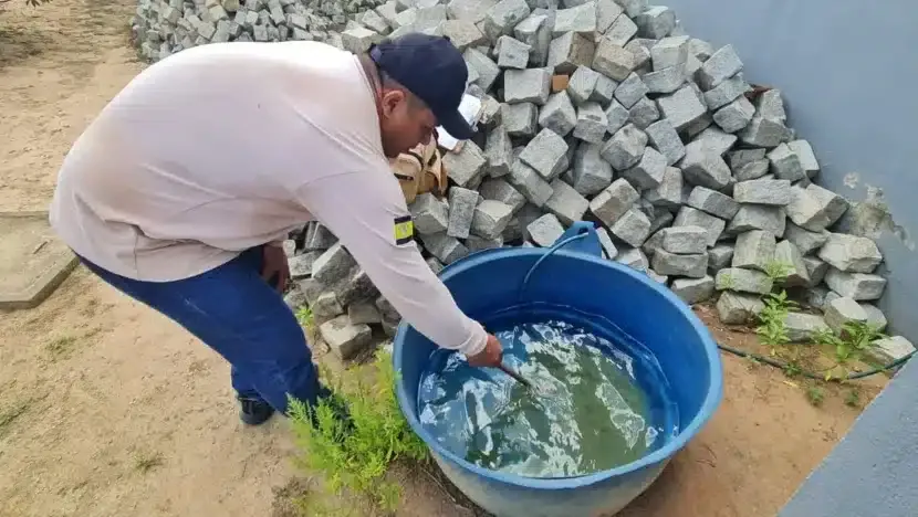 Prefeitura de Parnamirim intensifica ações de combate à dengue